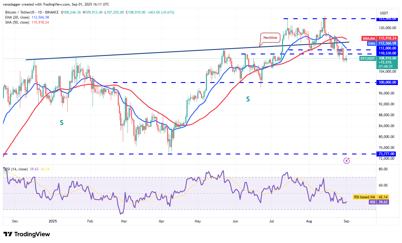 도지코인, 암호화폐, 달러, 비트코인 가격, XRP, 시장, 암호화폐 거래소, 소셜 미디어, 카르다노, 가격 분석, 바이낸스 코인, 체인링크, 시장 분석, 코인쉐어, 이더리움 가격, 솔라나, S&P 500