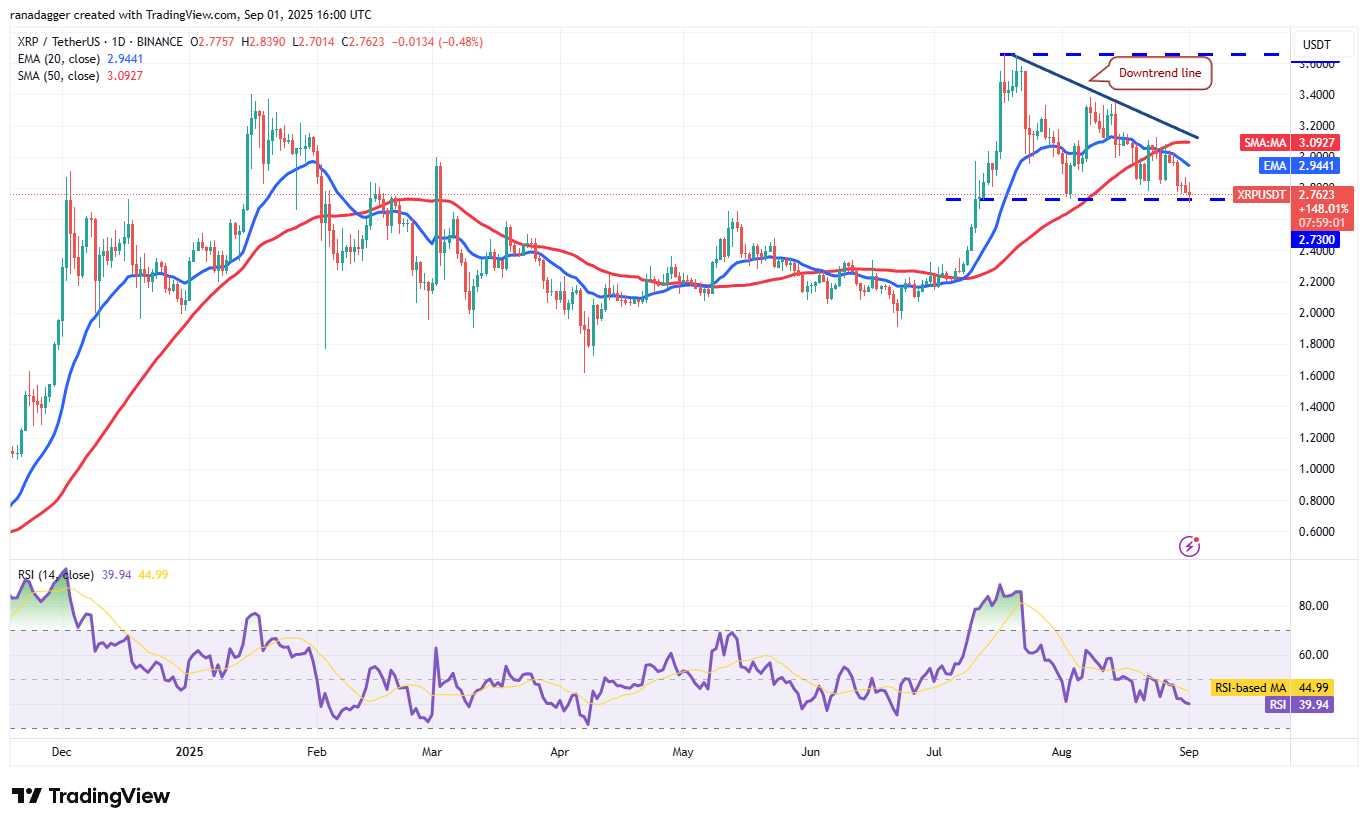 도지코인, 암호화폐, 달러, 비트코인 가격, XRP, 시장, 암호화폐 거래소, 소셜 미디어, 카르다노, 가격 분석, 바이낸스 코인, 체인링크, 시장 분석, 코인쉐어, 이더리움 가격, 솔라나, S&P 500