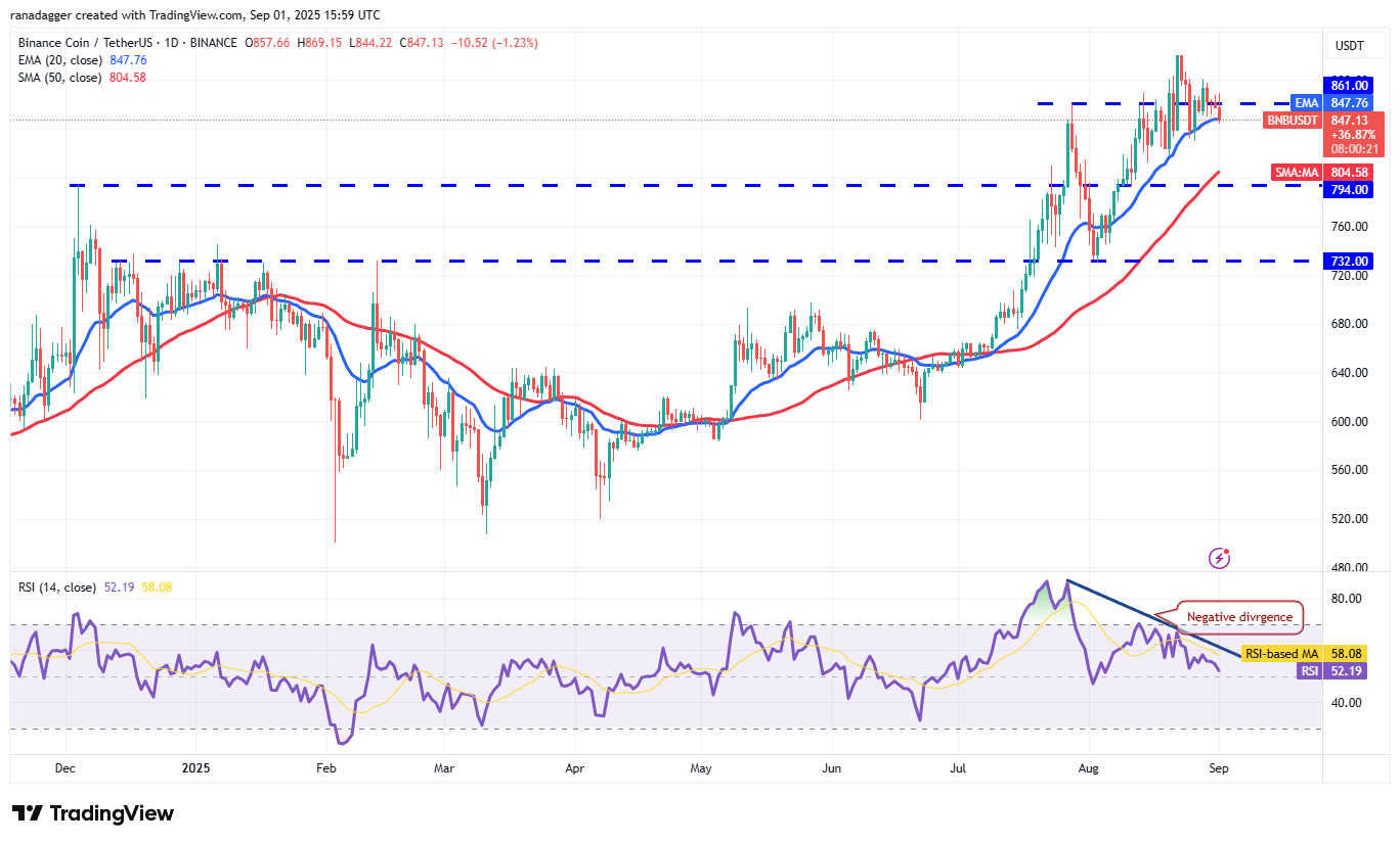 도지코인, 암호화폐, 달러, 비트코인 가격, XRP, 시장, 암호화폐 거래소, 소셜 미디어, 카르다노, 가격 분석, 바이낸스 코인, 체인링크, 시장 분석, 코인쉐어, 이더리움 가격, 솔라나, S&P 500