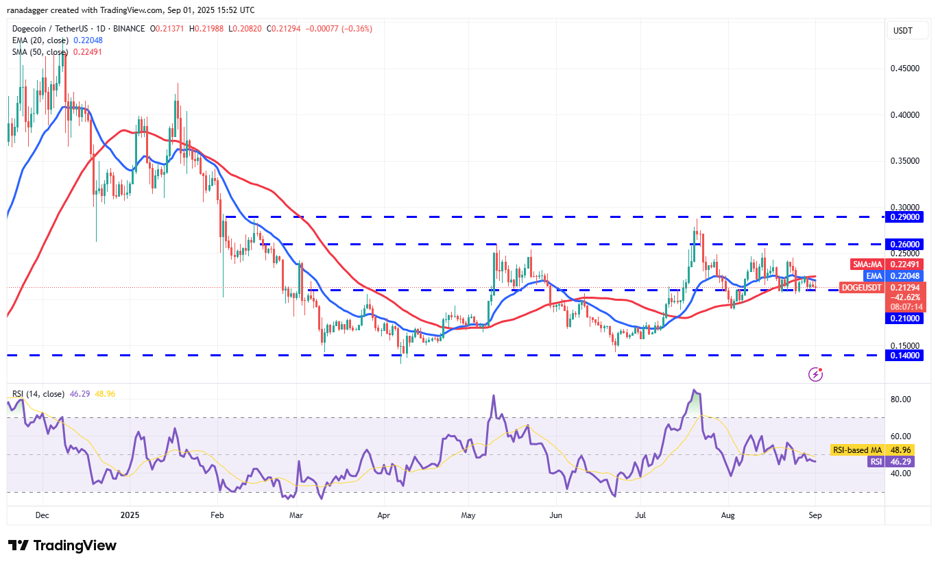 도지코인, 암호화폐, 달러, 비트코인 가격, XRP, 시장, 암호화폐 거래소, 소셜 미디어, 카르다노, 가격 분석, 바이낸스 코인, 체인링크, 시장 분석, 코인쉐어, 이더리움 가격, 솔라나, S&P 500