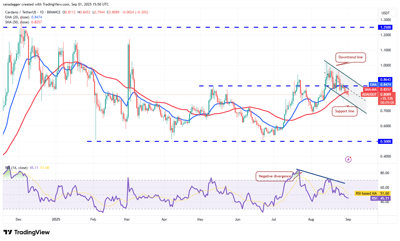 도지코인, Cryptocurrencies, 달러, 비트코인 가격, XRP, 시장, 암호화폐 거래소, 소셜 미디어, 카르다노, 가격 분석, 바이낸스 코인, 체인링크, 시장 분석, 코인쉐어, 이더리움 가격, 솔라나, S&P 500