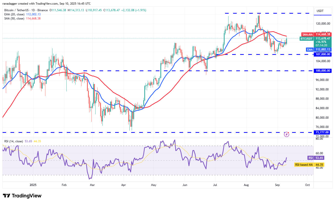 도지코인, 암호화폐, 연방준비제도이사회, 금, 비트코인 가격, XRP, 시장, 미국, 암호화폐 거래소, 인플레이션, 이자율, CME, 카르다노, 가격 분석, 바이낸스 코인, 체인링크, 시장 분석, 이더리움 가격, 솔라나, 스위스