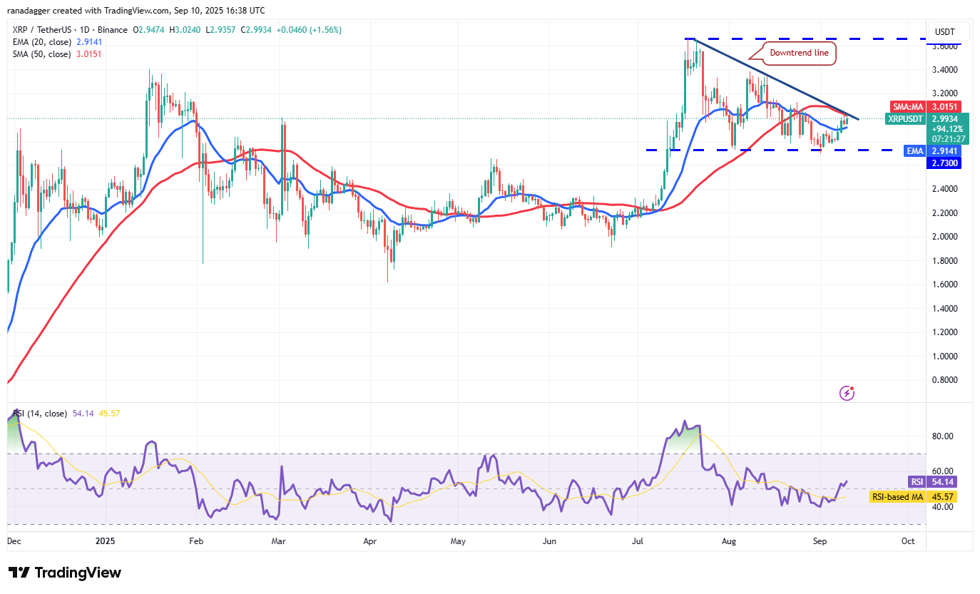 도지코인, 암호화폐, 연방준비제도이사회, 금, 비트코인 가격, XRP, 시장, 미국, 암호화폐 거래소, 인플레이션, 이자율, CME, 카르다노, 가격 분석, 바이낸스 코인, 체인링크, 시장 분석, 이더리움 가격, 솔라나, 스위스