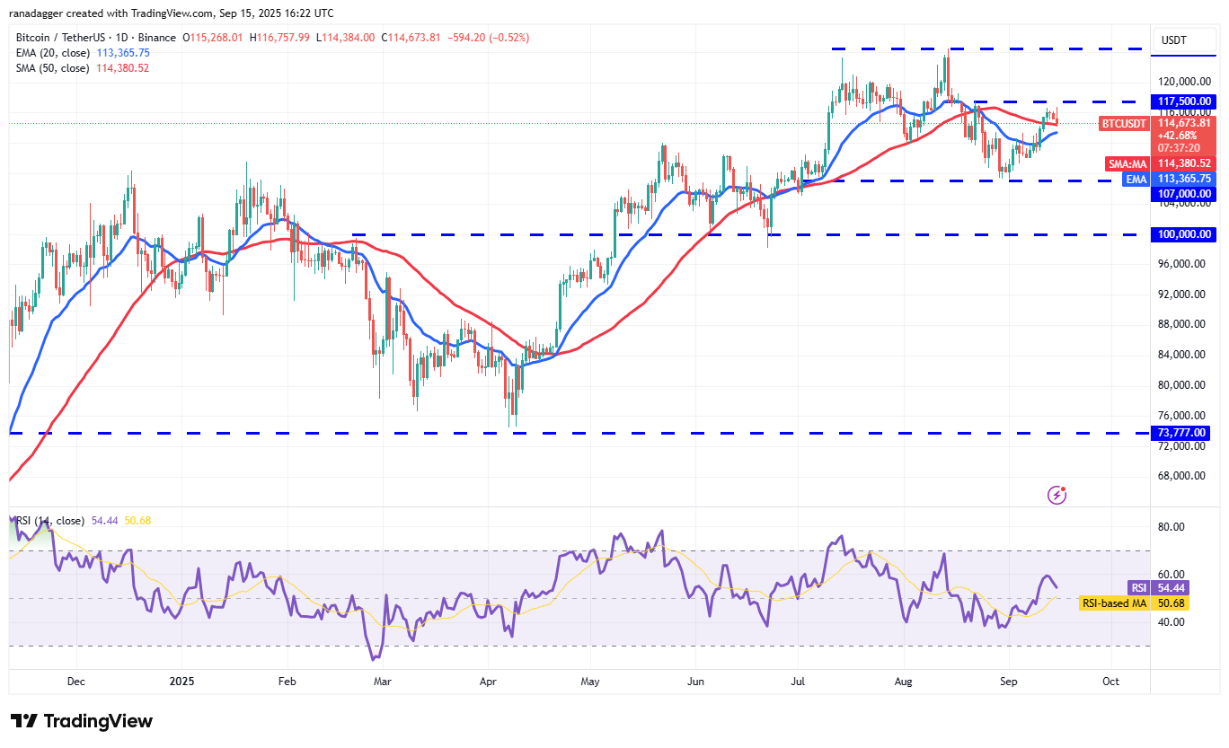 도지코인, 암호화폐, 달러, 비트코인 가격, XRP, 시장, 암호화폐 거래소, 카르다노, 가격 분석, 바이낸스 코인, 시장 분석, 이더리움 가격, 솔라나, S&P 500, 고래, 이더리움 ETF, 비트코인 ETF, ETF