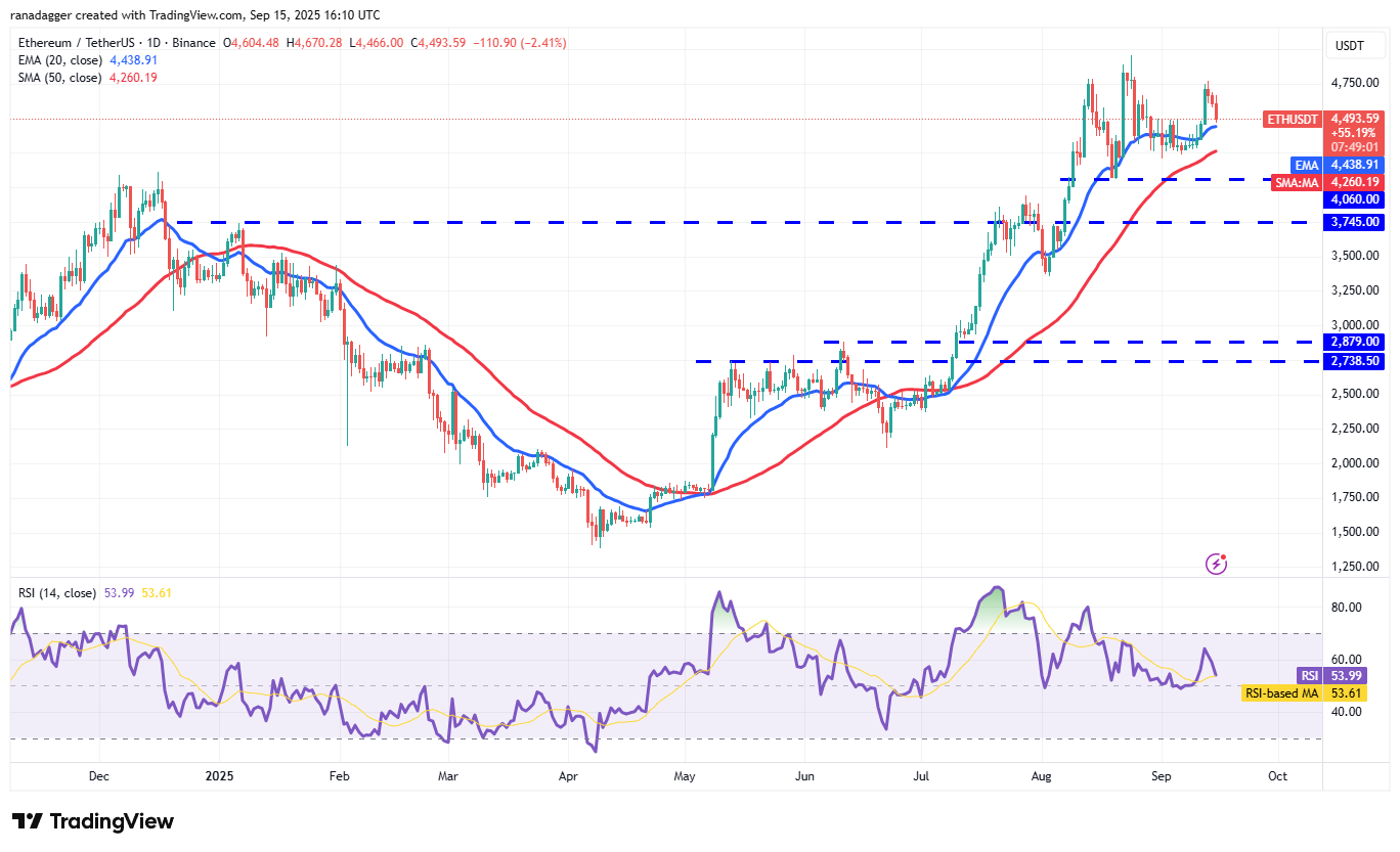 Dogecoin, 암호화폐, 달러, 비트코인 가격, XRP, 시장, 암호화폐 Exchange, 카르다노, 가격 분석, 바이낸스 코인, 시장 분석, 이더리움 가격, 솔라나, S&P 500, 고래, 이더리움 ETF, 비트코인 ETF, ETF