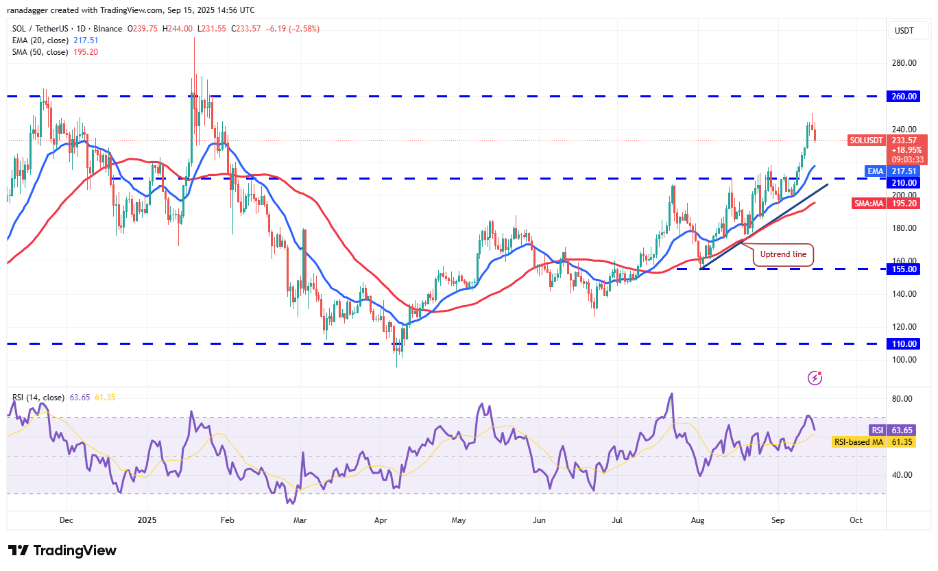 도지코인, 암호화폐, 달러, 비트코인 가격, XRP, 시장, 암호화폐 거래소, 카르다노, 가격 분석, 바이낸스 코인, 시장 분석, 이더리움 가격, 솔라나, S&P 500, 고래, 이더리움 ETF, 비트코인 ETF, ETF