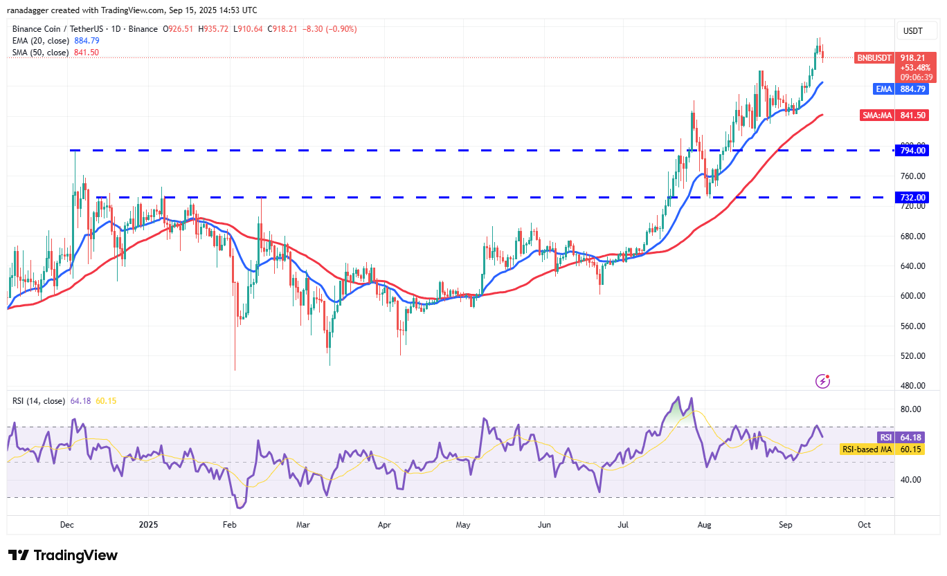 도지코인, 암호화폐, 달러, 비트코인 가격, XRP, 시장, 암호화폐 거래소, 카르다노, 가격 분석, 바이낸스 코인, 시장 분석, 이더리움 가격, 솔라나, S&P 500, 고래, 이더리움 ETF, 비트코인 ETF, ETF