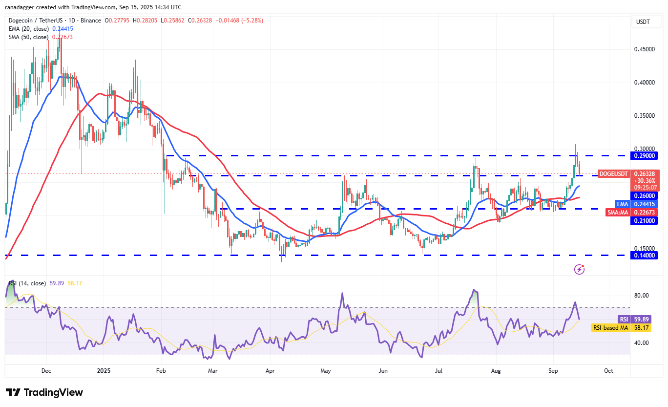 도지코인, 암호화폐, 달러, 비트코인 가격, XRP, 시장, 암호화폐 거래소, 카르다노, 가격 분석, 바이낸스 코인, 시장 분석, 이더리움 가격, 솔라나, S&P 500, 고래, 이더리움 ETF, 비트코인 ETF, ETF