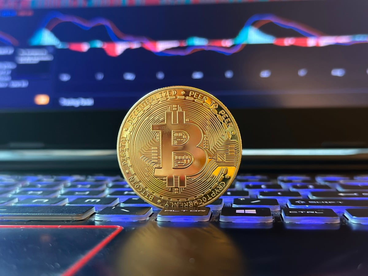 비트코인. /사진=게티이미지뱅크 