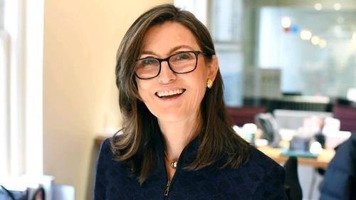 캐시 우드 아크 인베스트 CEO